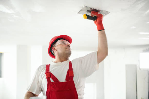 Best Drywall Crack Repair  in Placerville, CA